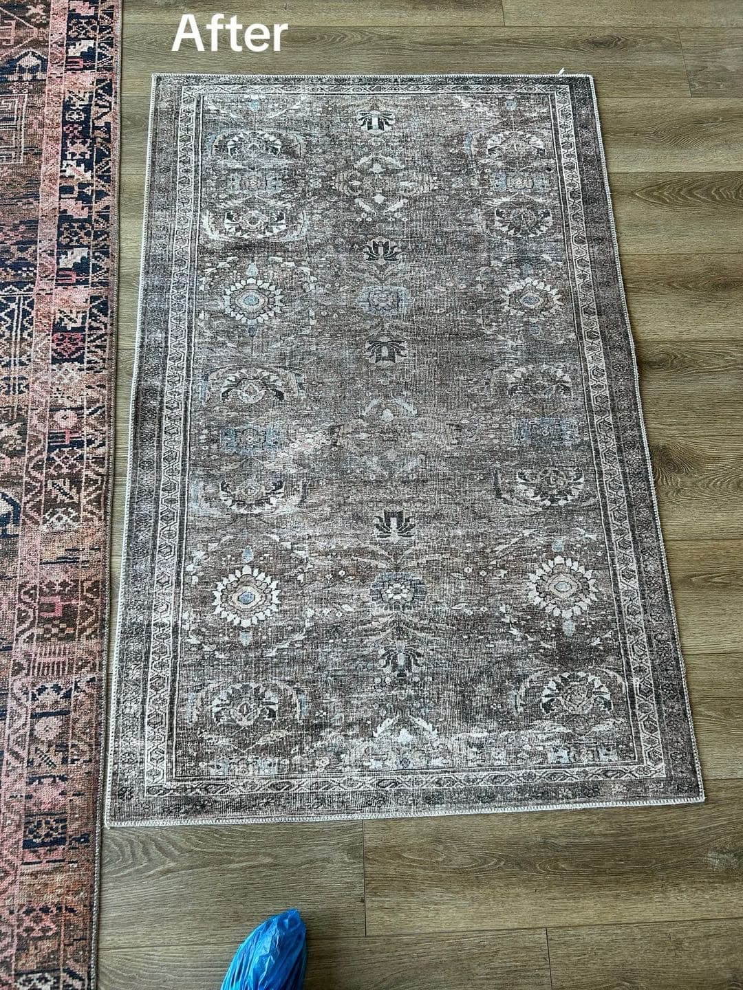 Area rug before and after professional in-home rug cleaning — after