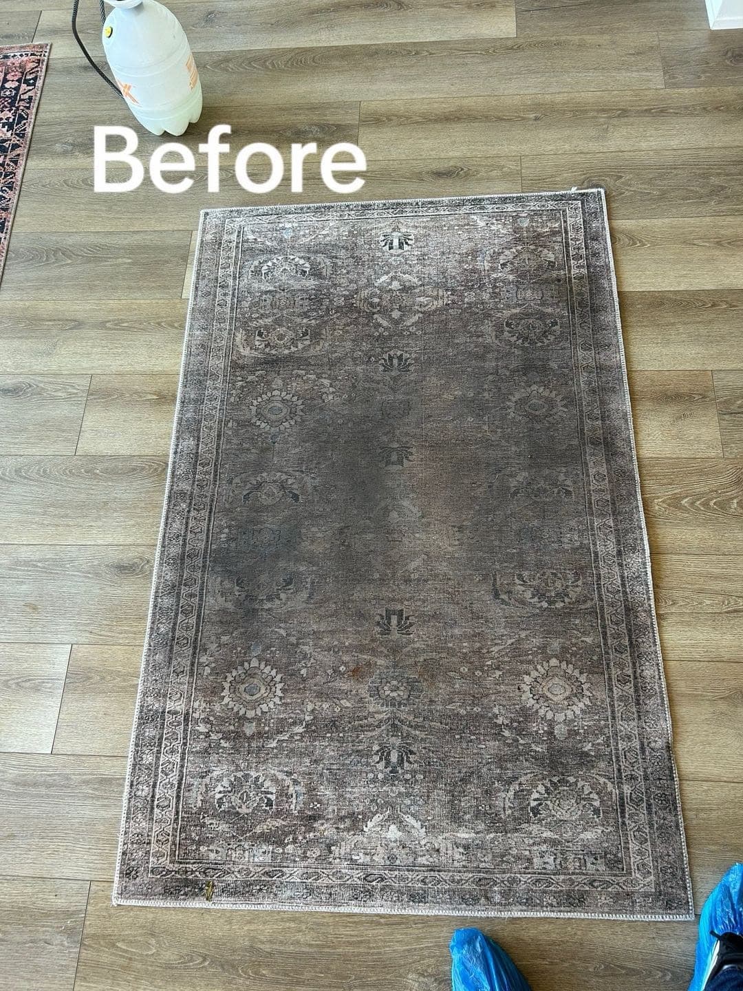Area rug before and after professional in-home rug cleaning — before