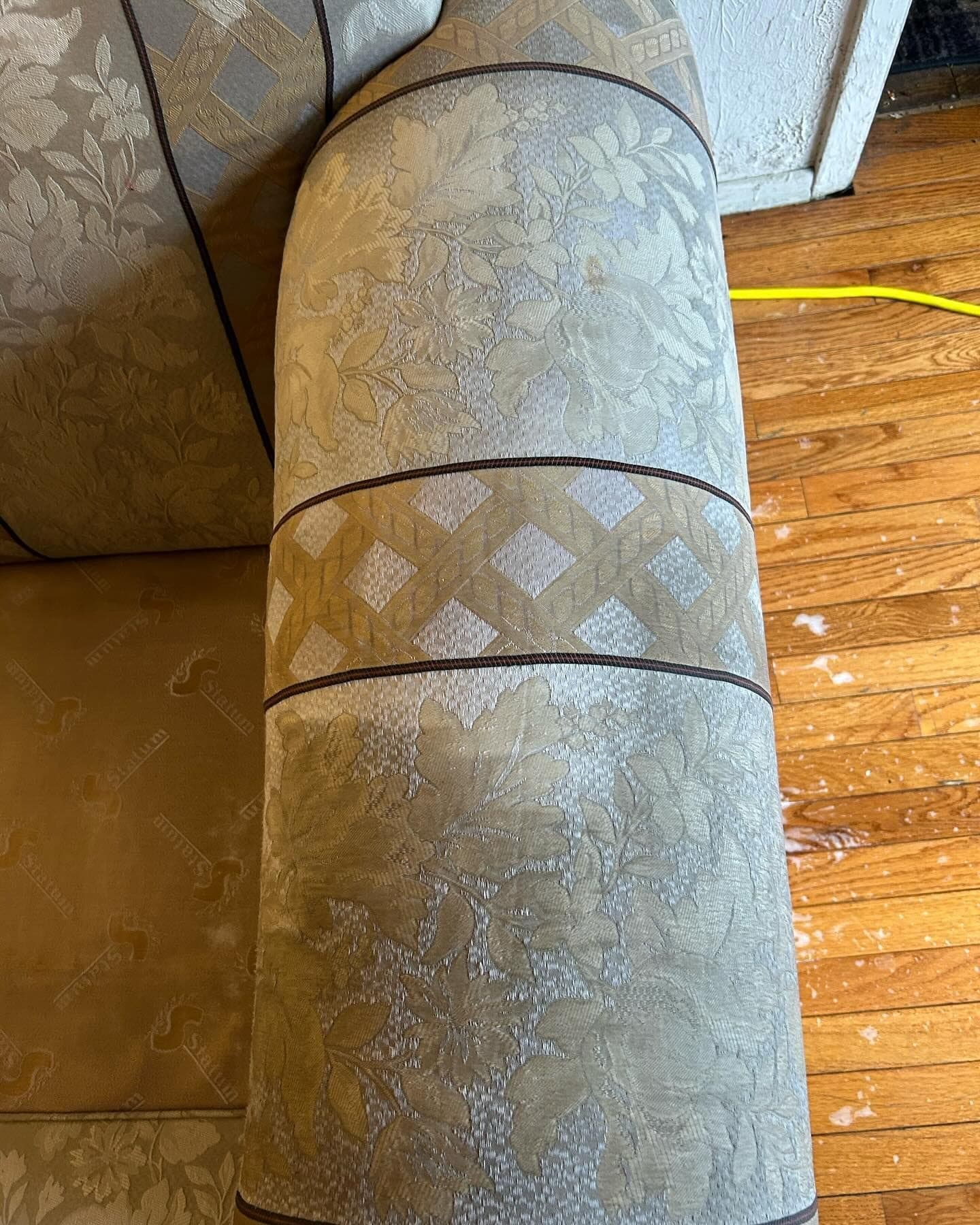 Professional upholstery cleaning in progress on a floral armchair