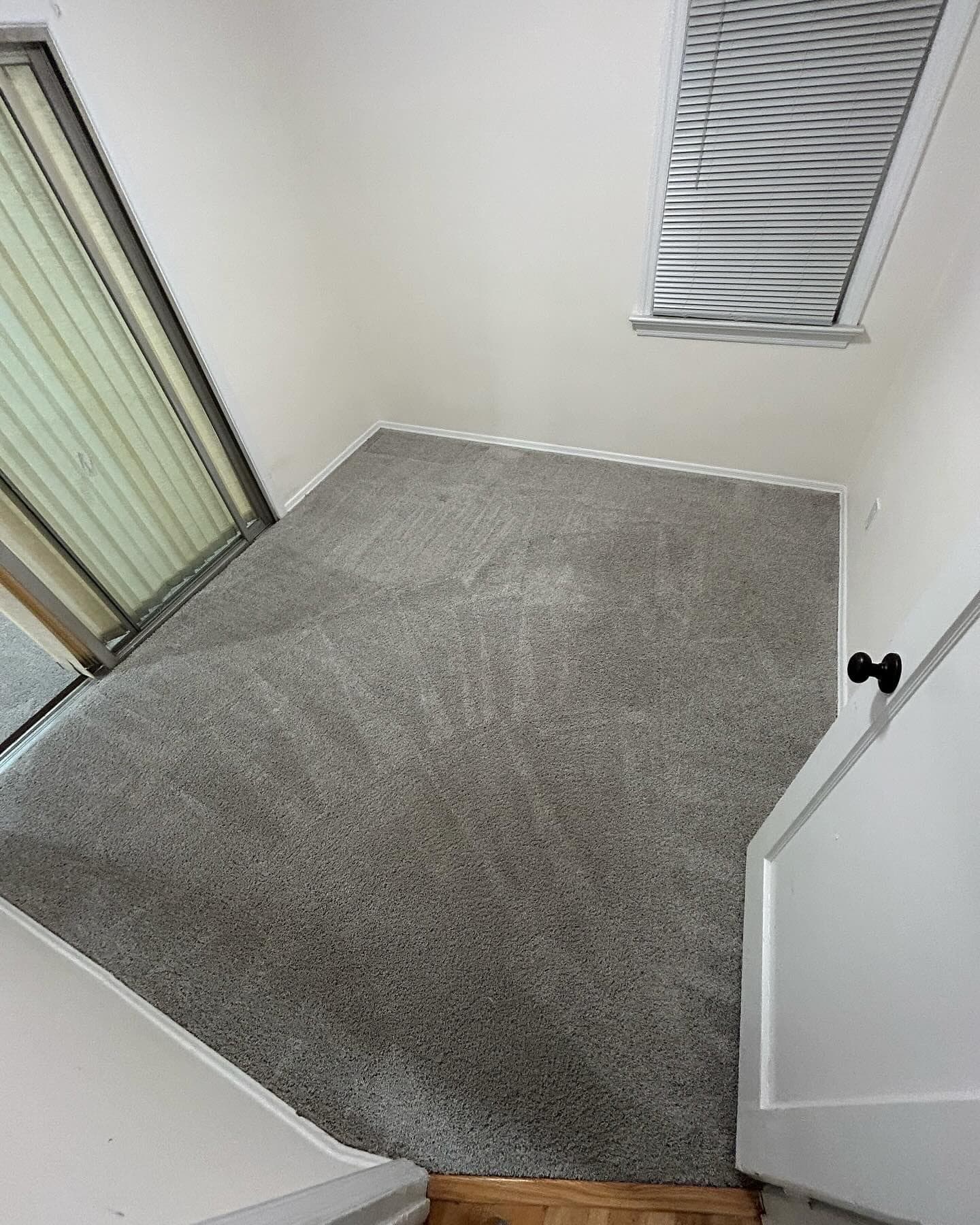 Freshly deep-cleaned grey carpet in a Bronx home